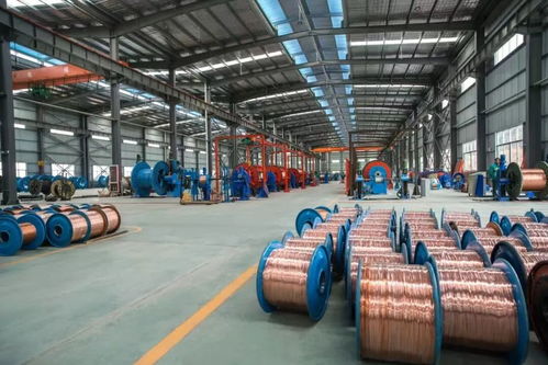 老廠迎蝶變 借力數字化再攀高峰