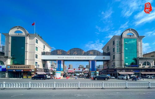 探訪溫州網紅市場 瑞安水產城——水產品琳瑯滿目，價廉物美與網站建設助力體驗升級