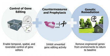 DARPA斥資6500萬美元推進(jìn)基因編輯與神經(jīng)技術(shù)融合，開啟高分辨率腦機(jī)接口新紀(jì)元