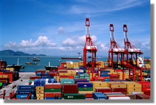 揚(yáng)州到番禺集裝箱海運(yùn)物流運(yùn)輸服務(wù)與運(yùn)輸代理